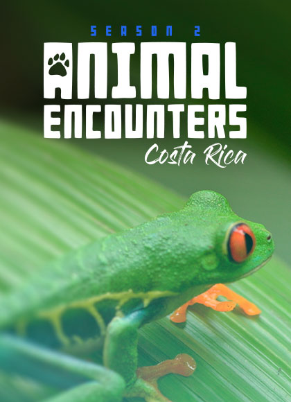 Animal Encounters – programa