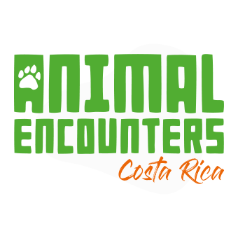 Animal Encounters